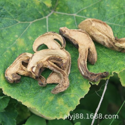 云南特产野生菌黑牛肝菌干货 食用菌小黑桃美味牛肝菌批发2件图2