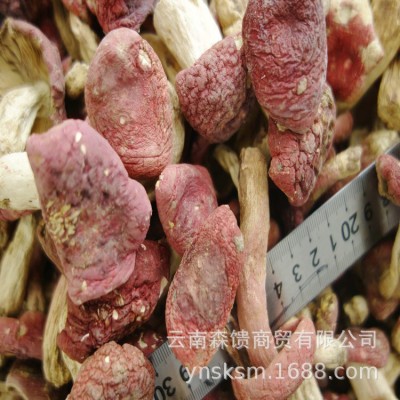 红菇500克一件 小红菇批发 手工筛选货 颜色漂亮 产地直销6件图3