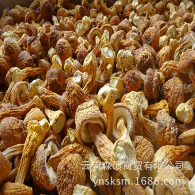姬松茸干货批发姬松茸 巴西菇 手工挑选货 无断脚 颜色金黄20千克图2