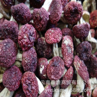 小红菇 批发 一千克一件 红蘑菇 甜脆丁红菇 红菇干货2件