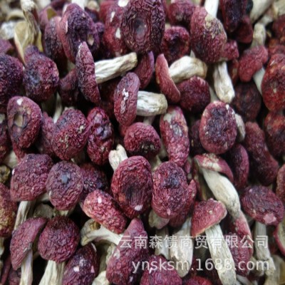 小红菇 批发 一千克一件 红蘑菇 甜脆丁红菇 红菇干货2件图5