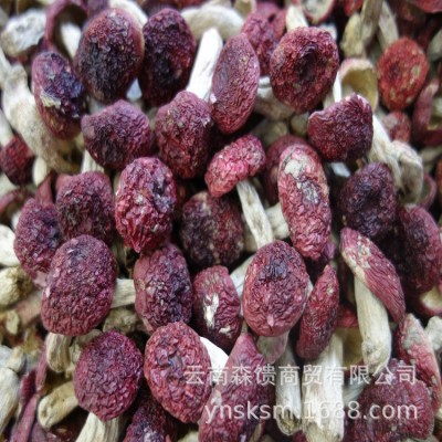 小红菇 批发 一千克一件 红蘑菇 甜脆丁红菇 红菇干货2件图3