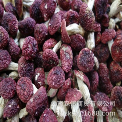 小红菇 批发 一千克一件 红蘑菇 甜脆丁红菇 红菇干货2件图2
