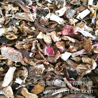 熬汤菌 火锅菌汤 熬汤菌 菌汤料 黄牛肝菌 廉价批发6千克