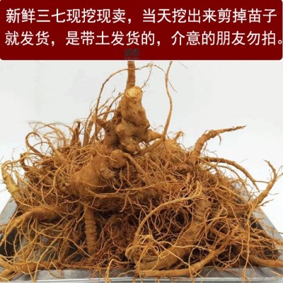 云南新鲜三七 现挖云南文山新鲜田七头潮湿生三七头根泡酒煲汤37 1斤图2