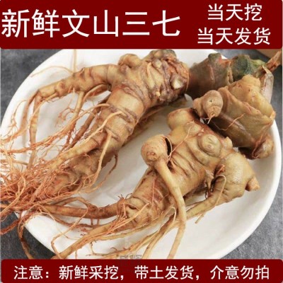 云南新鲜三七 现挖云南文山新鲜田七头潮湿生三七头根泡酒煲汤37 1斤