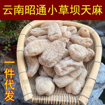云南天麻昭通小草坝天麻中药材天麻片深山野天麻昭通天麻粉红天麻1斤图2