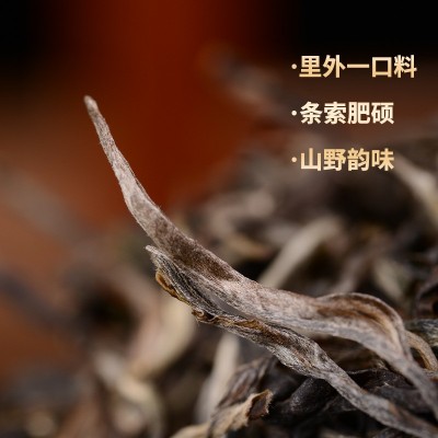 2020年勐库小户赛老树秋茶晒青纯料普洱茶生茶散茶云南厂家直供1份图2