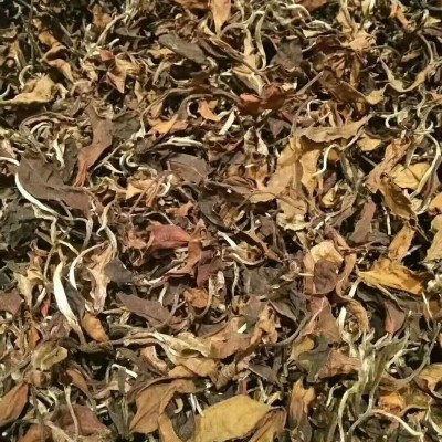 现货批发云南古树白茶2024年布朗山大树月光白茶鲜爽甘甜散装白茶50斤图4