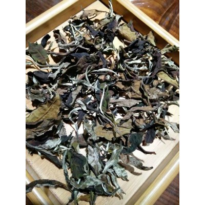 现货批发云南古树白茶2024年布朗山大树月光白茶鲜爽甘甜散装白茶50斤图5