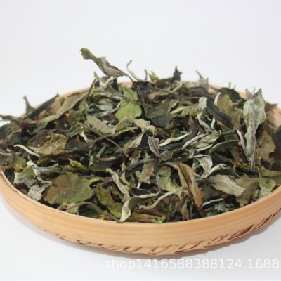 现货批发云南古树白茶2024年布朗山大树月光白茶鲜爽甘甜散装白茶50斤图3