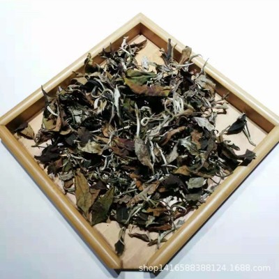 现货批发云南古树白茶2024年布朗山大树月光白茶鲜爽甘甜散装白茶50斤