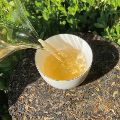 延初茶业 云南普洱茶生茶357克 老班章大叶茶饼茶 厂家直接发货     1包图3