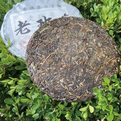 延初茶业 云南普洱茶生茶357克 老班章大叶茶饼茶 厂家直接发货     1包图2