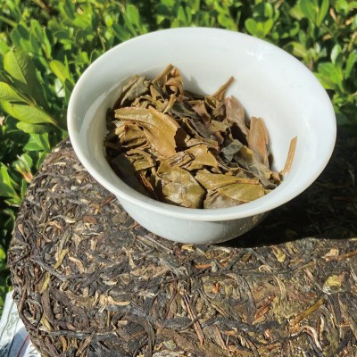 延初茶业 云南普洱茶生茶357克 老班章大叶茶饼茶 厂家直接发货     1包图5