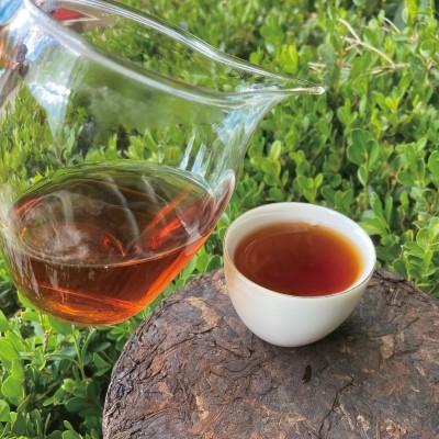 延初茶业 云南普洱茶熟茶357克老班章熟茶大叶茶饼茶厂家直接发货    1饼图4