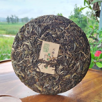 普洱茶生茶云南茶饼生普勐海布朗山七子饼茶古树茶厂家批发茶叶      1饼图3
