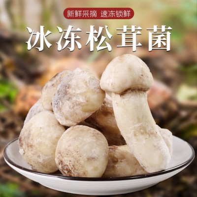冰鲜松茸冰冻松茸云南特产山珍食用菌菇冬季煲汤食材菌子新鲜松茸1kg