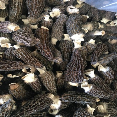 羊肚菌 干货 云南羊肚菌 5-7公分农副产品批发 云南特产2kg图2