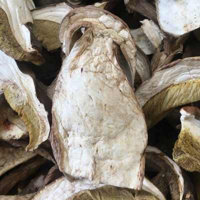 牛肝菌 干片美味 白牛肝菌A货 无杂质 剪过泥脚 可直接办理出口2kg图3