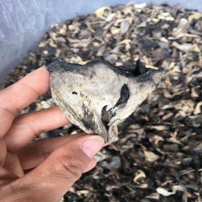 喇叭菌 灰喇叭菌(黑喇叭菌) 云南土特产 食用菌批发 产地直销2千克图4