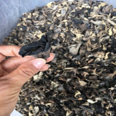 喇叭菌 灰喇叭菌(黑喇叭菌) 云南土特产 食用菌批发 产地直销2千克图3