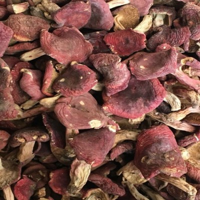 红菇 红蘑菇 云南高山红 产地直供 食用菌批发 中菇云南特产一手2千克图3