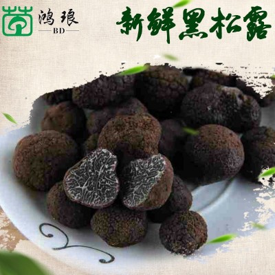 云南特产速冻冰鲜黑松露成熟黑芯2-3cm 食用菌菇批发产地批发1千克图3