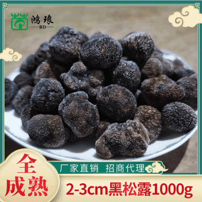 云南特产速冻冰鲜黑松露成熟黑芯2-3cm 食用菌菇批发产地批发1千克