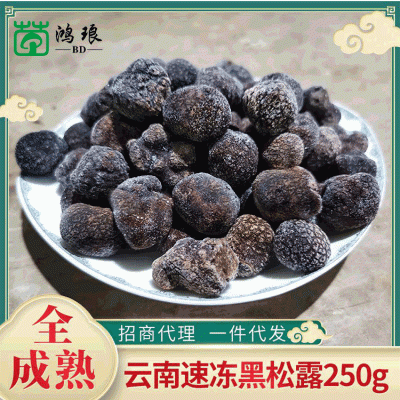 全成熟速冻黑松露特产块菌猪拱菌散装250g 产地冰鲜批发支持代发1件