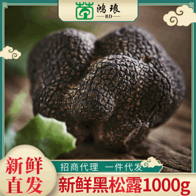 【新鲜黑松露 】云南特产 食用块菌猪拱菌散装1000g 新鲜现货批发1件
