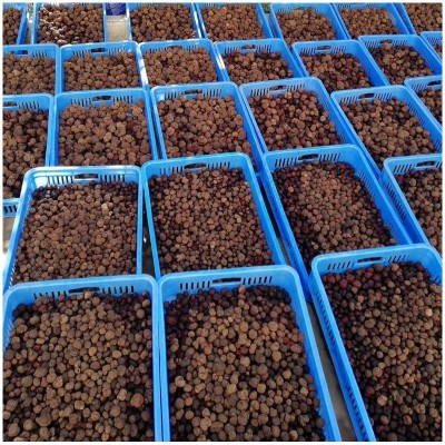 【新鲜黑松露 】云南特产 食用块菌猪拱菌散装1000g 新鲜现货批发1件图2