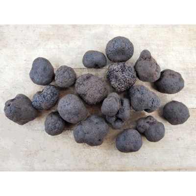 厂家直供鲜黑松露散装250g 云南食用块菌猪拱菌 新鲜现挖一件代发1件图5