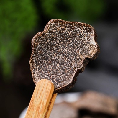 云南黑松露干片新鲜块菌猪拱菌干货特产煲汤营养养生蘑菇菌类批发1件