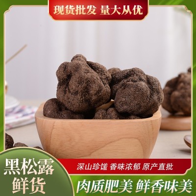顺丰包邮云南特产新鲜松露黑松露块菌猪拱菌食用菌煲汤源头厂家1斤
