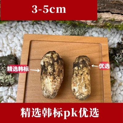 【产地直发】香格里拉新鲜松茸现货7-9cm鲜菌500/1000g食用松茸菌1千克图5