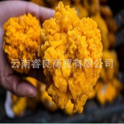 云南新鲜金耳特产食用菌鲜货煲汤食材厂家大量现货批发2件图2