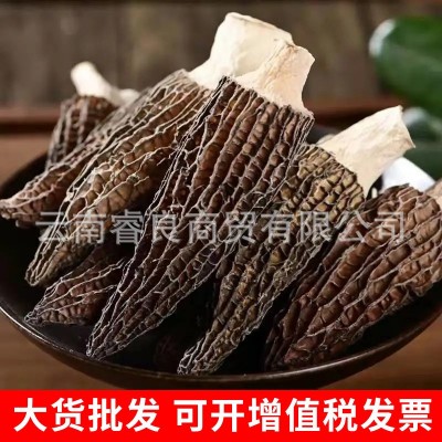 云南产地批发羊肚菌干货250g大号剪柄食用菌人工 酒店大货批发2件图3