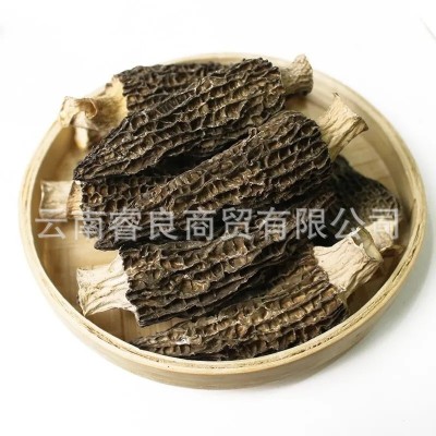云南产地批发羊肚菌干货250g大号剪柄食用菌人工 酒店大货批发2件