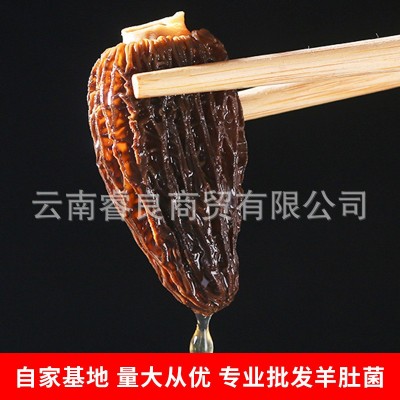 云南产地批发羊肚菌干货250g大号剪柄食用菌人工 酒店大货批发2件图2