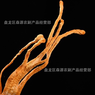 虫草花干货500g正品散装北虫草蛹虫草金虫草另售优选野生煲汤料1千克图4