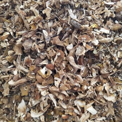 黄牛肝菌 美味牛肝菌 熬汤牛肝菌火锅底料调汤菌批发2千克图3