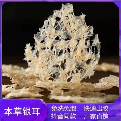 瓶装本草银耳冲泡即食代餐无糖低脂批发一件代发40g80g本草银耳1个
