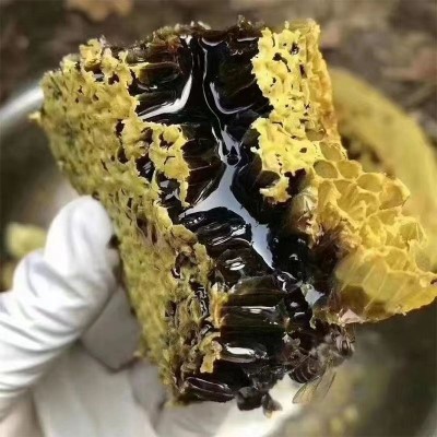 云南黑蜂蜜源头工厂直营蜂蜜批发一件代发云南高山正宗土黑蜂蜜1瓶图2