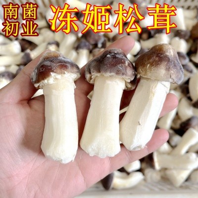 冰鲜冻姬松茸 云南山珍土特产菌菇火锅香菇食材一斤批发野生蘑菇2斤