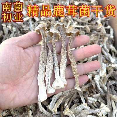 鹿茸菌菇干货 大量批发价格低一斤装整件5公斤山珍美食农产品2斤