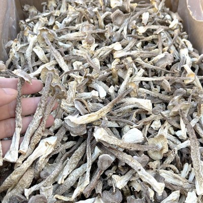 鹿茸菌菇干货 大量批发价格低一斤装整件5公斤山珍美食农产品2斤图2