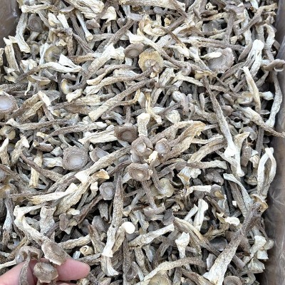 鹿茸菌菇干货 大量批发价格低一斤装整件5公斤山珍美食农产品2斤图4