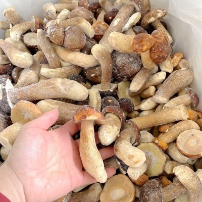 冰鲜冻野生美味牛肝菌精品无虫！云南山珍土特产菌菇火锅香菇一斤2斤图2