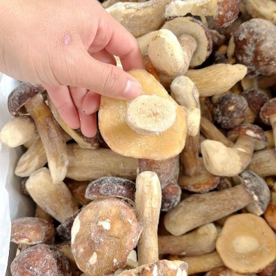 冰鲜冻野生美味牛肝菌精品无虫！云南山珍土特产菌菇火锅香菇一斤2斤图4